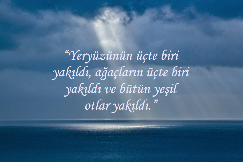 'Yeryüzünün üçte biri yakıldı, ağaçların üçte biri yakıldı ve bütün yeşil otlar yakıldı.'